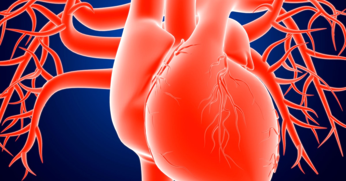 Slechts vier risicofactoren zijn verantwoordelijk voor 99 procent van alle acute hartproblemen