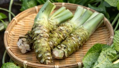 Dít pittige kruidje helpt tegen ontstekingen én gaat gaatjes tegen