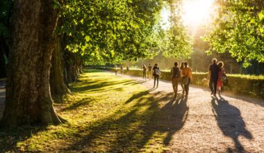 Moet je echt 10.000 stappen per dag zetten? Dit zegt de wetenschap echt