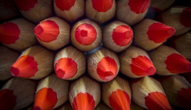 hoe betrouwbaar zijn de voorspellingen?