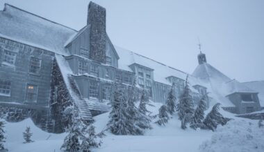 Fans van 'Welcome to Derry' ontdekken opnieuw deze legendarische klassieker in top tien van HBO Max