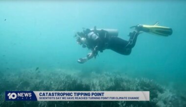 Schrikbarend rapport over kantelpunten in de klimaatcrisis, koraalriffen al voorgoed verloren - Joop