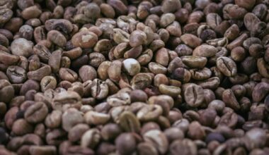 Onderzoekers ontrafelen waarom de duurste koffie ter wereld zo bijzonder smaakt