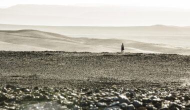 Vanavond een spannende Stephen King-film op televisie? Deze veelbesproken scifi-fantasyfilm sluit je avond prima af