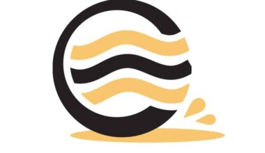 N33 gestremd na ernstig ongeval bij Holwierde - Eemskrant.nl