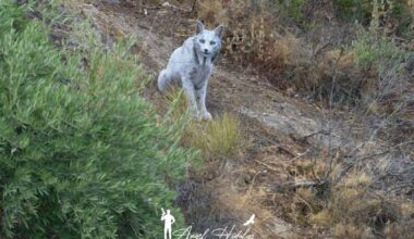 @angeliyo_o / instagram