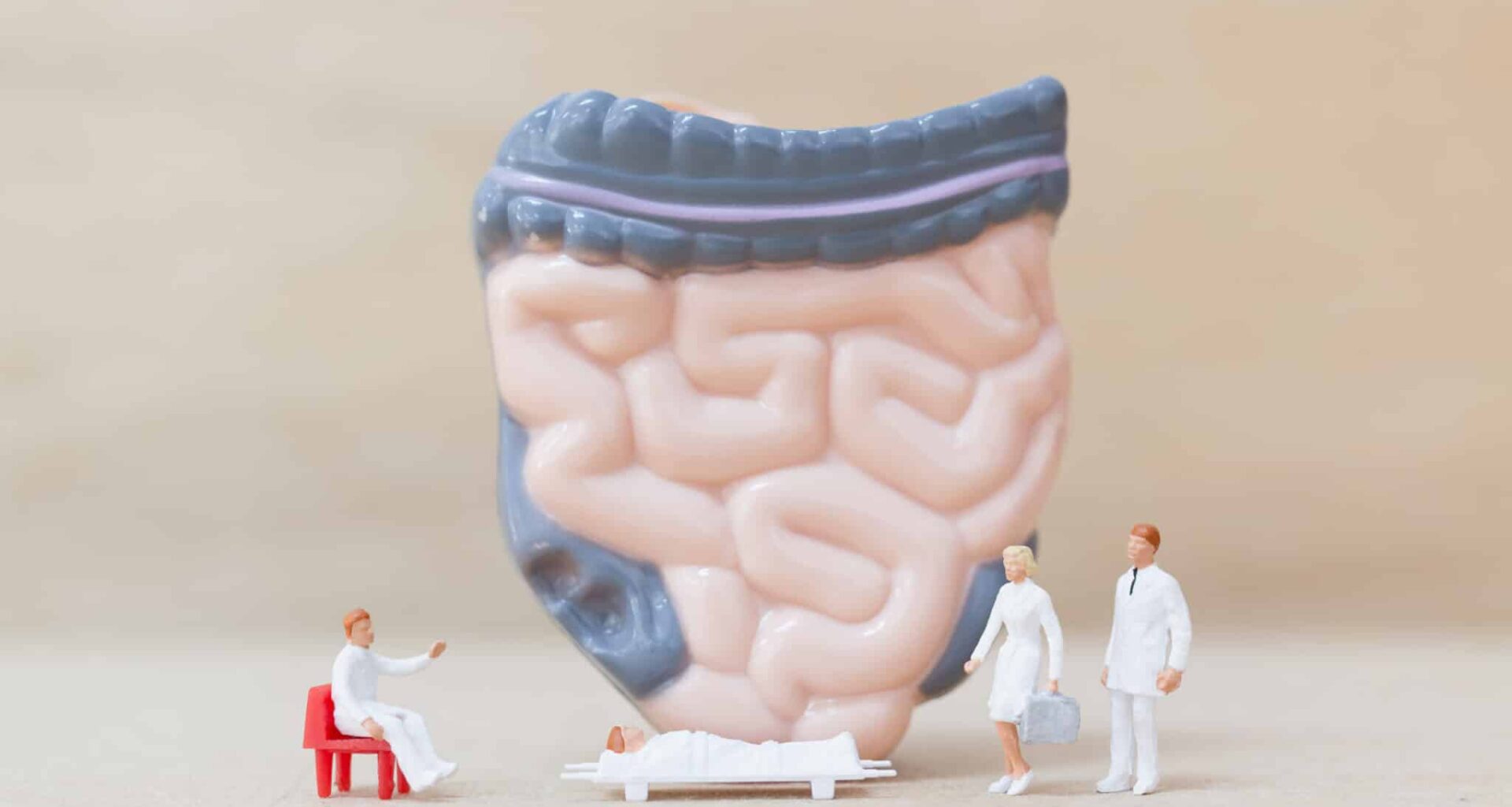 Deze darmschimmel maakt korte metten met je verlangen naar alcohol