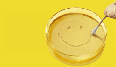 Nieuwe serie van Breaking Bad-maker wil je echt niet missen