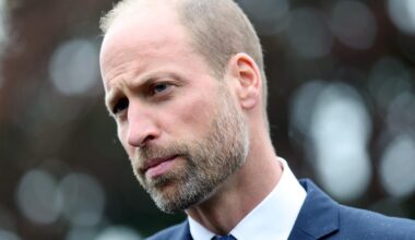 Plannen William voor monarchie verontrusten koningshuis-experts