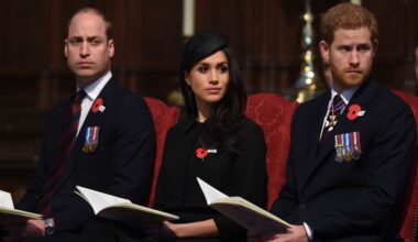 Worden de titels van Harry en Meghan afgenomen door William?