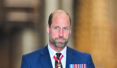 Koninklijke expert zegt dat prins William in feite koning is