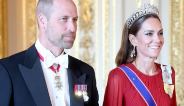 Prins William gaat royals van hun koninklijke titels beroven