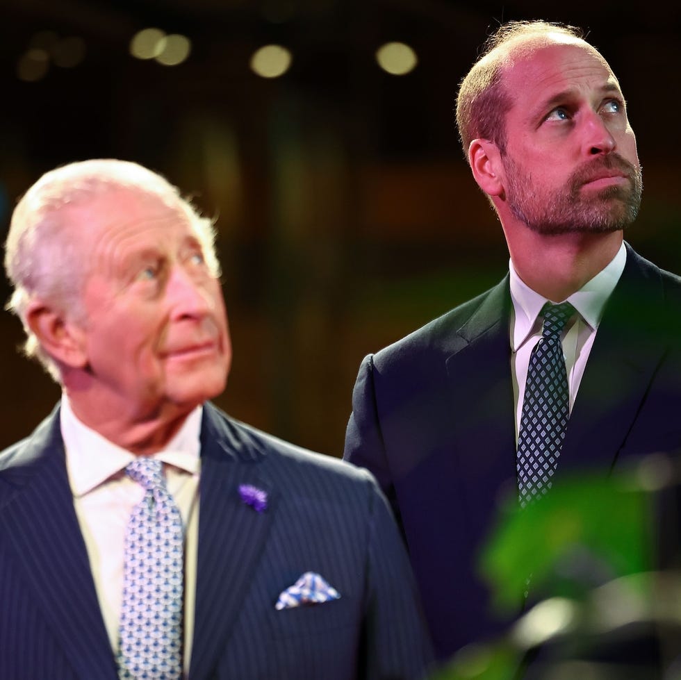 royal experts are "deeply unsettled" by prince william’s drastic plans for the monarchy’s future