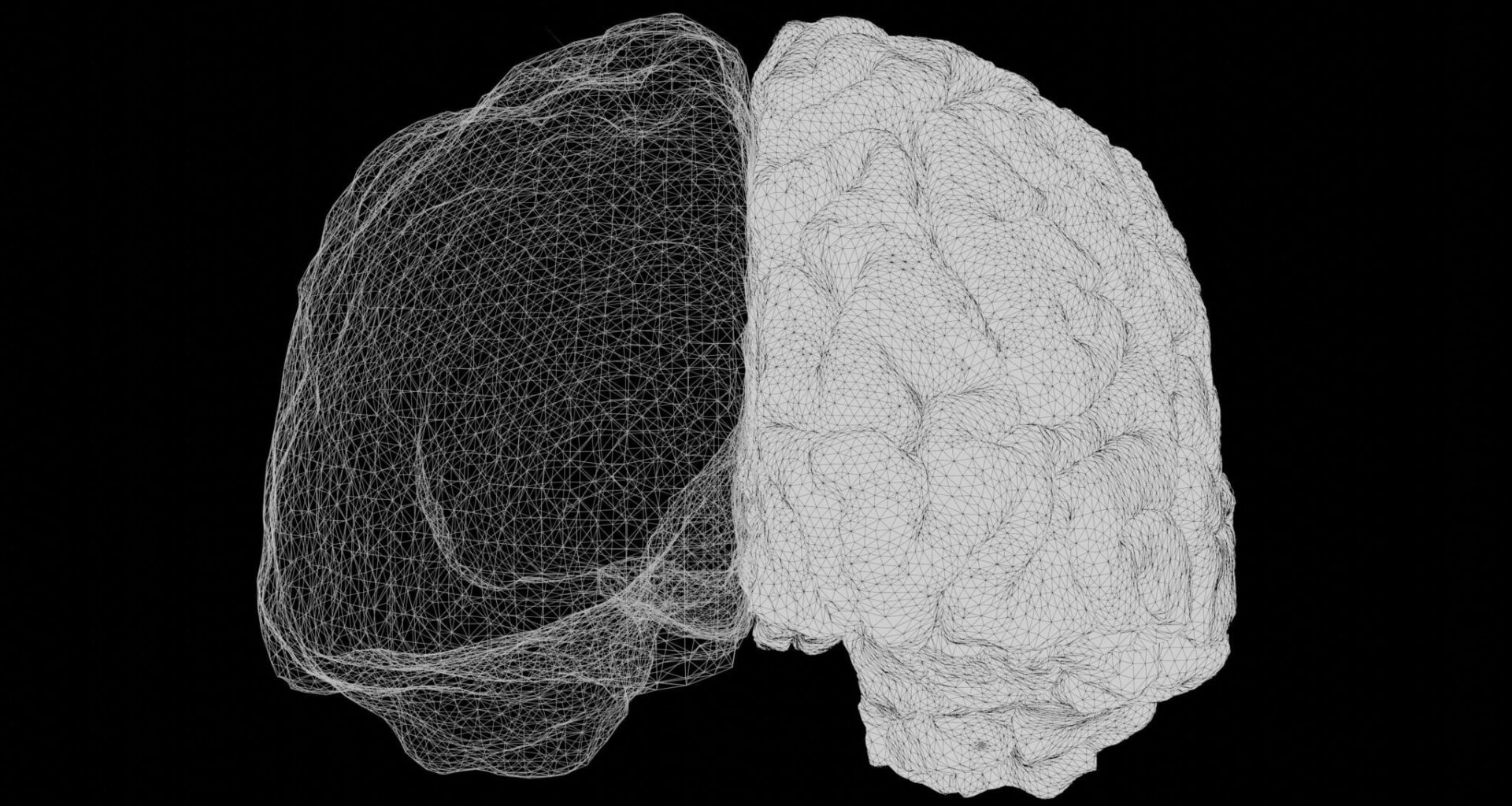 Wat doet een afgesneden hersenhelft? Italiaanse studie vindt een verrassend antwoord
