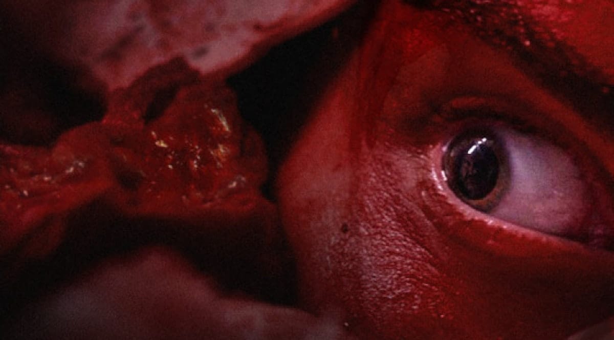 Recensie: Vleesdag - de bloederigste Nederlandse horror ooit?