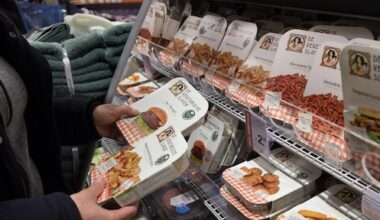 Geen 'vleesnamen' meer voor vega? 'Niet alle burgers zijn een hamburger!'