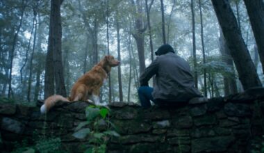 Eerste recensies voor thriller 'Good Boy': "visueel indrukwekkend, emotioneel verwoestend"