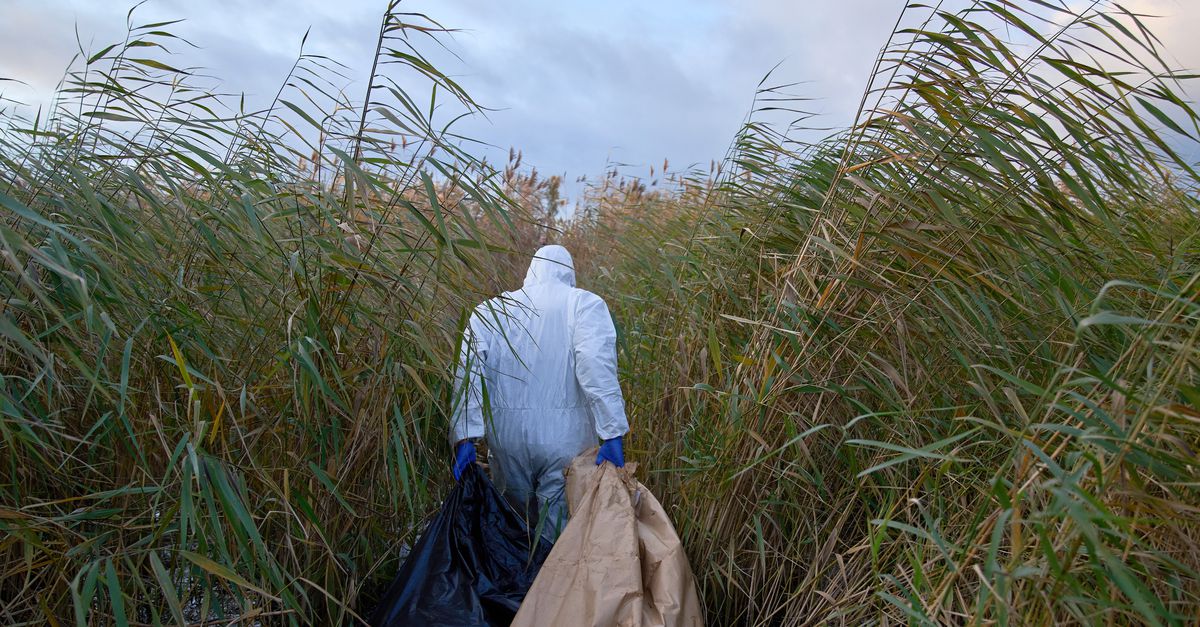 Kraanvogels in Duitsland vallen massaal ten prooi aan vogelgriep
