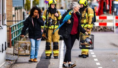 Huizen ontruimd om gaslek, ook de papegaaien van Leonie moesten mee: 'Ze waren angstig'