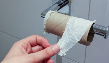 Deze gemeente scoort het best op openbare toiletten, maar eigenlijk haalt iedereen een onvoldoende - Rijnmond