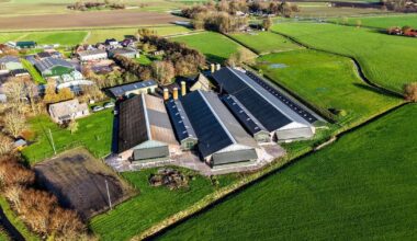 Vogelgriep vastgesteld bij pluimveebedrijf in Holwierde
