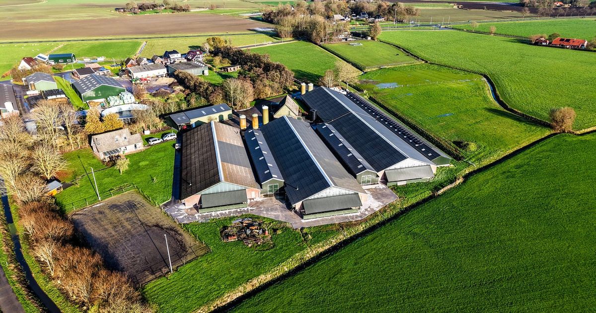 Vogelgriep vastgesteld bij pluimveebedrijf in Holwierde