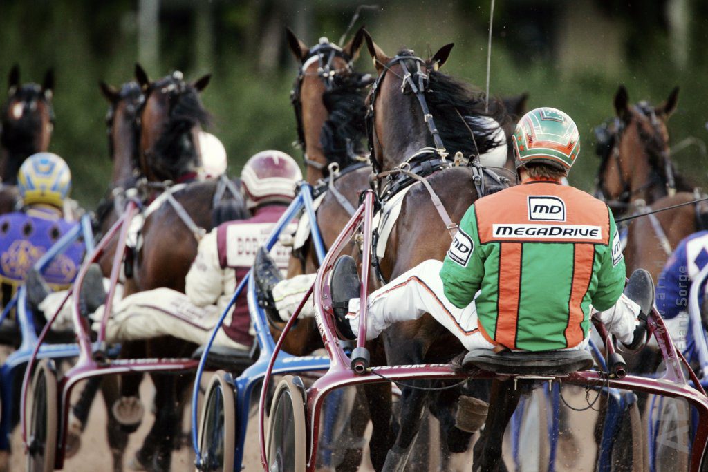 Gestolen koerspaarden uit Olen gevonden in Roemenië, twee mannen opgepakt