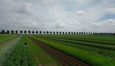 Pesticidegebruik in landbouw met een vijfde gedaald in 2024