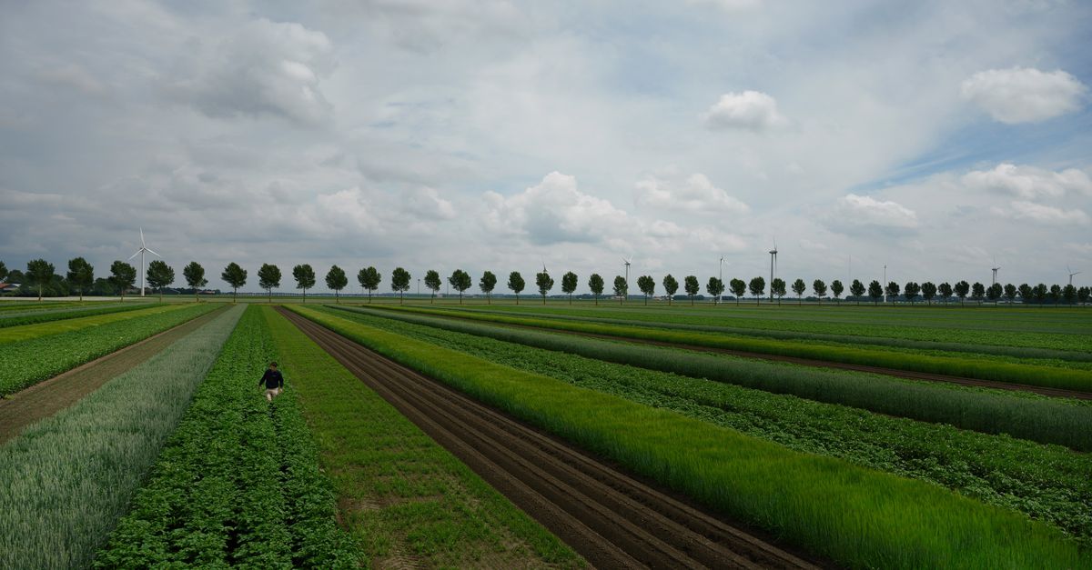 Pesticidegebruik in landbouw met een vijfde gedaald in 2024