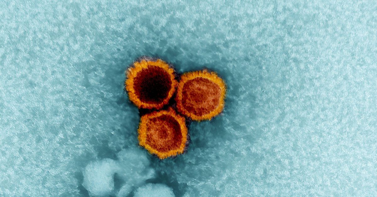 Nieuw puzzelstukje in onderzoek naar verband tussen virusinfecties en auto-immuunziektes