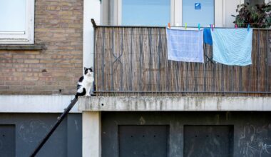 Opinie | Opinie - Inmiddels worden ook mensen dakloos waar niets mis mee is, en ook hier faalt de hulp