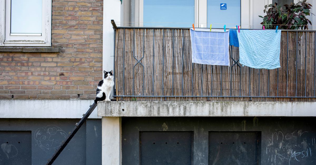 Opinie | Opinie - Inmiddels worden ook mensen dakloos waar niets mis mee is, en ook hier faalt de hulp