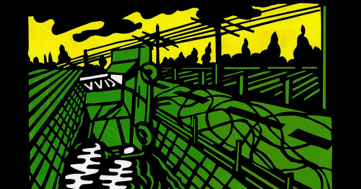 Opinie | Lezersbrieven: Mevrouw Yesilgöz zou zich moeten schamen