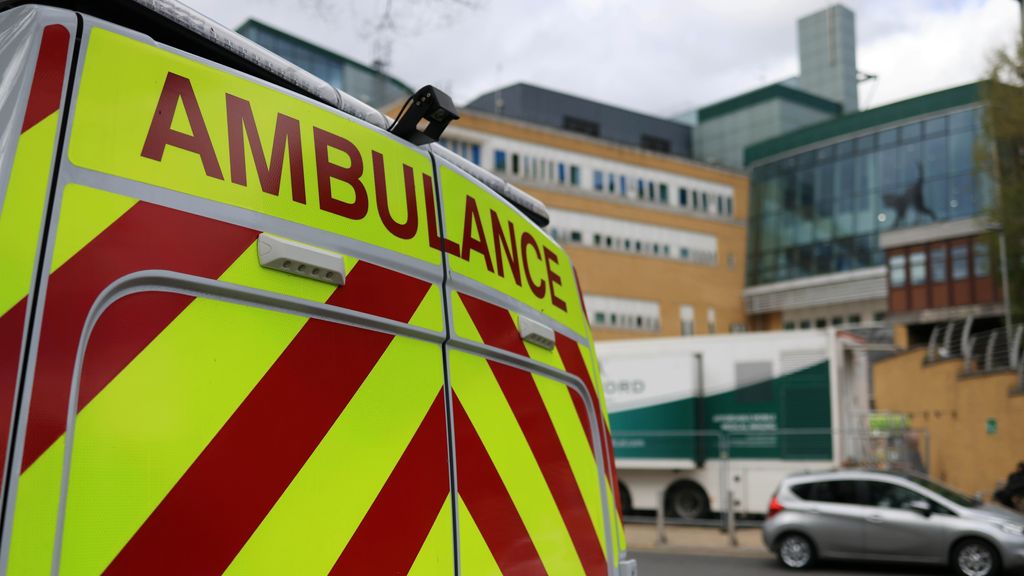 Baby overleden na hondenbeet in Wales