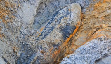 Drie WO II-bommen gevonden in Brabants weiland