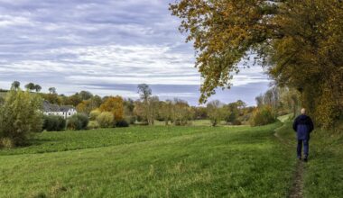 De kleuren en geuren lokken ons naar het bos, prachtig herfstweer op komst