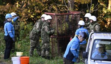 Japanse leger bindt strijd aan met beren na recordaantal aanvallen en doden