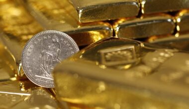 Fransman vindt fortuin aan goud in zijn achtertuin