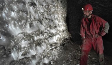 Kolossaal spinnenweb ontdekt met meer dan 100.000 spinnen