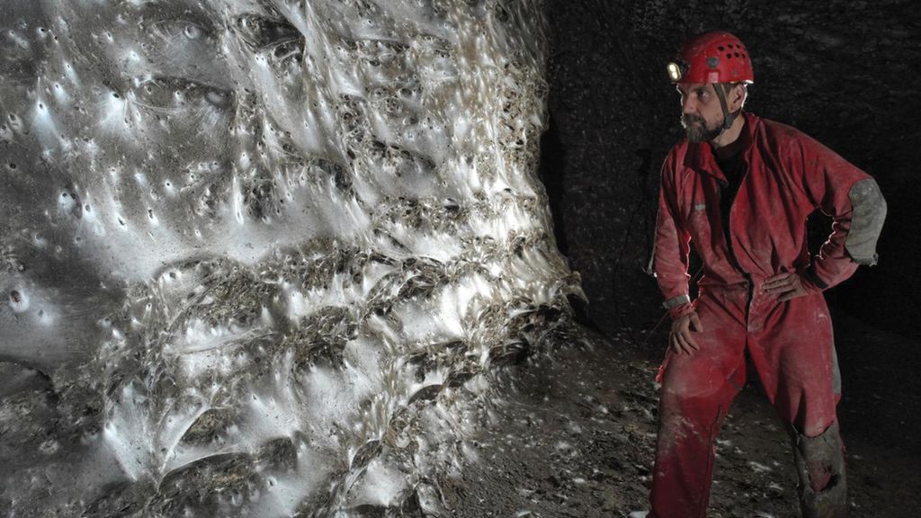 Kolossaal spinnenweb ontdekt met meer dan 100.000 spinnen