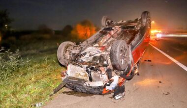 Paard doodgereden op A2, automobilisten komen met de schrik vrij
