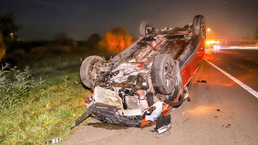 Paard doodgereden op A2, automobilisten komen met de schrik vrij