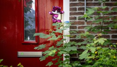 Vlaardingse pleegouders mishandelden ons 'omdat we niet Nederlands zijn'