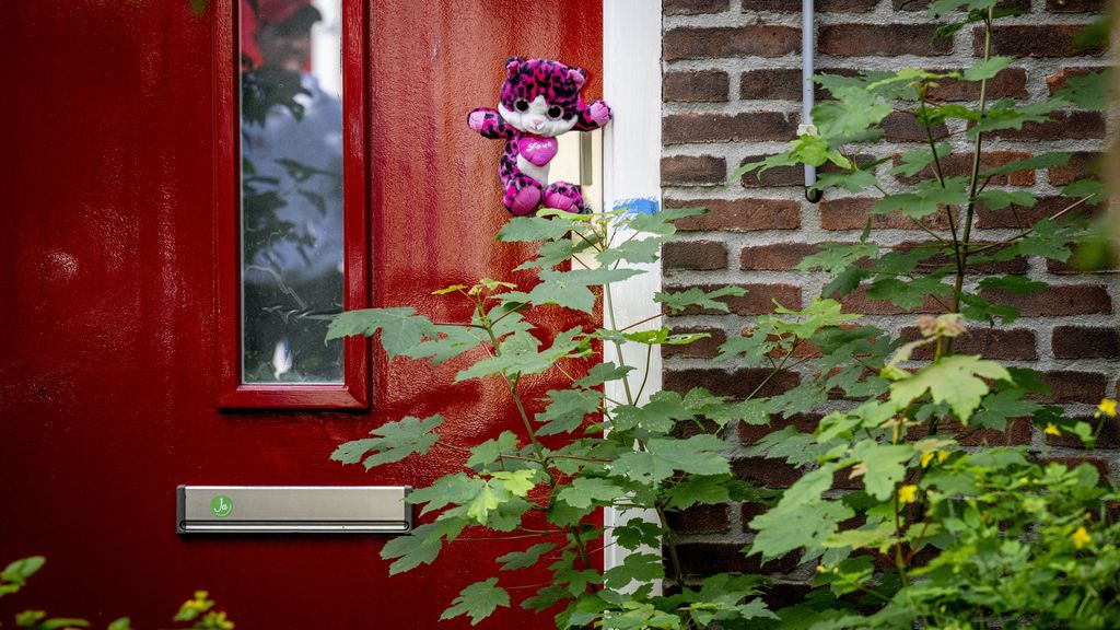 Vlaardingse pleegouders mishandelden ons 'omdat we niet Nederlands zijn'