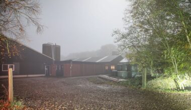 Vogelgriep in Fries dorp Drogeham, 120.000 leghennen geruimd