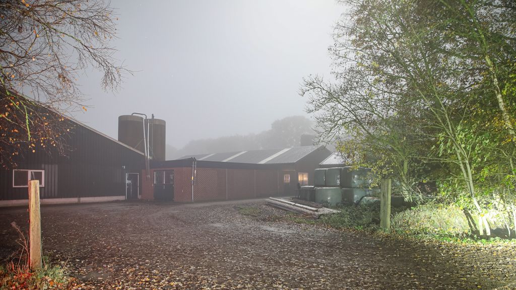 Vogelgriep in Fries dorp Drogeham, 120.000 leghennen geruimd