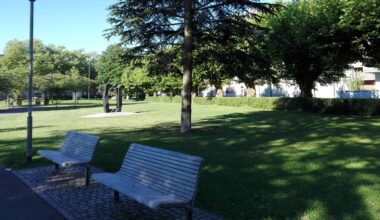 Duitse jongen (17) aangehouden voor poging verbranden vlag Israël