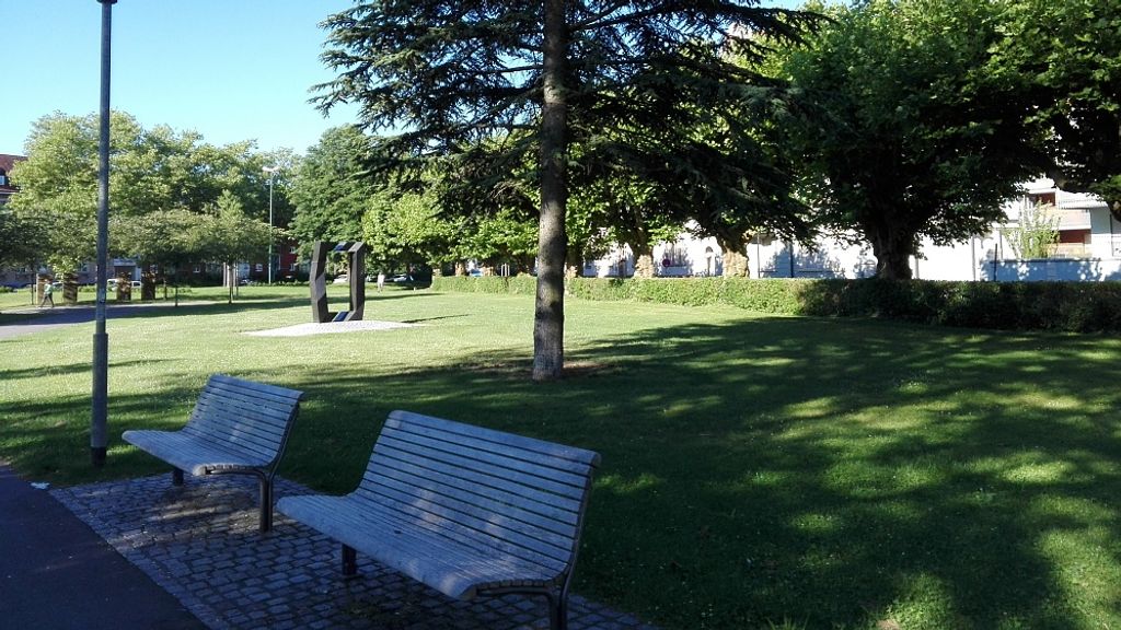 Duitse jongen (17) aangehouden voor poging verbranden vlag Israël