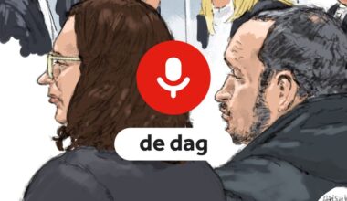 het Vlaardingse pleegmeisje, verbijstering in de rechtbank