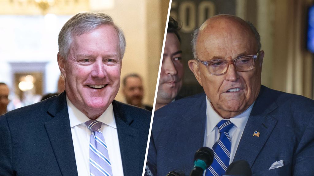 Trump verleent gratie aan medestanders die verkiezingsuitslag van 2020 bestreden